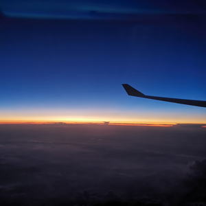 妲己把裤子脱了打开腿让人
